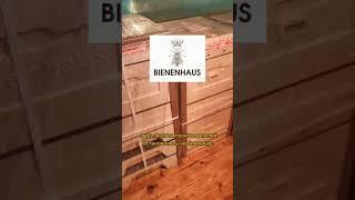 Купил ещё ульи BIENENHAUS #пчеловодство  #пчёлы #BIENENHAUS #ульи #мед #пасека #зимовкапчёл #закупка