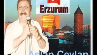 Aslan Ceylan Kara Kız