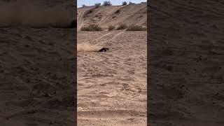 Traxxas Maxx v2 - DESERT LAUNCH!