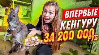 ВПЕРВЫЕ: КЕНГУРУ ЗА 200.000 рублей// 24 ЧАСА С НЕОБЫЧНЫМ ПИТОМЦЕМ