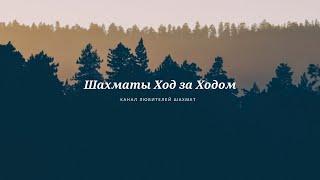 Шахматы. Теория дебютов. Староиндийская защита со слонами на g2 и b2 (за черных).