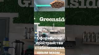 Стабилизированный мох в интерьере  #moss #verticalgarden