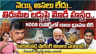 PM Modi Hand In Tirupati Laddu Issue, Chandrababu In Risk ?| Jagan | Daamu Balaji Diaries