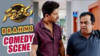 Home Theatre Comedy scene || Sarrainodu || Allu Arjun, Rakul Preet, Catherine Tresa