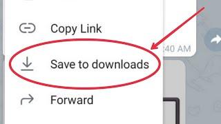 How To Fix Save To Downloads not working problem solve in Telegram