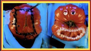 Emergency #FruitSurgery- Apple doesn’t have a heart! #DiscountDentist Ep 169 #Shorts