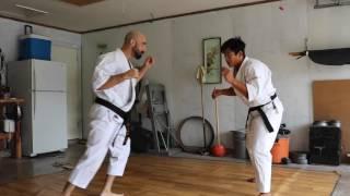 Karate: Limb Destruction and Side Kicks