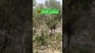 #youtubeshorts #foryou #ajknews #samahniazadkashmir #viralvideo