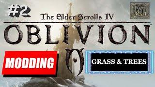 OBLIVION MODDING GUIDE | PART 2: Grass & Trees | BEVILEX' MODLIST FOR OBLIVION + MORE !!!