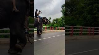 hati #shortvideo #song #music