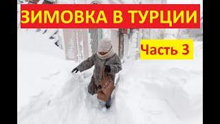 Едешь в Турцию? Обязательно посмотри это видео перед поездкой!