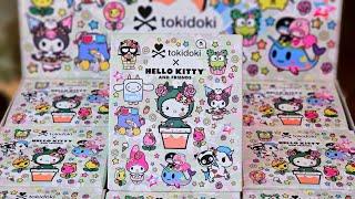 Tokidoki x Hello Kitty and Friends SERIES 2 blindbox case!