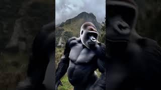This kind - hearted orangutan saved the child. Thank it!