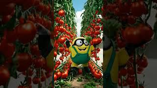 Tomatoes#tomato#tomatoes#ai#interesting#eat#eating#shorts