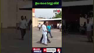 Pinnelli Ramakrishna Reddy Released From Jail #cmchandrababu #ysjagan   #pdtvnews