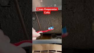 Clean Fridge Condenser Coils, ⬆️ Refrigerator Efficiency #shorts #fridge