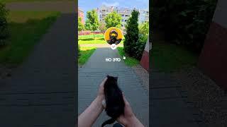 котёнок в ТГ - pawNEpaw