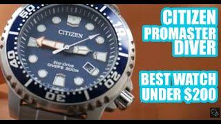 Citizen Promaster Eco Driver - BN0151-17L