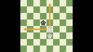 Checkmate with the Rook   Chess Lessons   Chess com