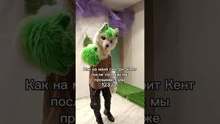 Да всё давай пока #grinya​ #kurgan​ #гриня​ #курган​ #фурри​ #furry​ #shorts​ #short​