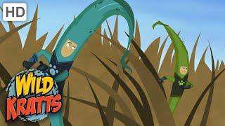 Wild Kratts | The Food Chain Game | Full Episode | Season 1