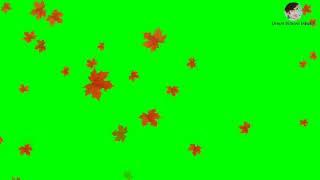 autumn leaf fall green screen effects-leafs -Green Screen Master