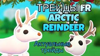 ЧТО ДАЮТ ЗА FR ARCTIC REINDEER? ТРЕЙДЫ НА АРКТИК ОЛЕНЯ