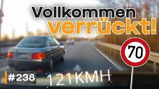 120 bei 70,  Geisterfahrer und Hund rennt auf Landstraße | #GERMAN #DASHCAM | #238