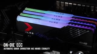 XLR8 DDR5 6000MHz MAKO RGB Desktop Memory | PNY DRAM