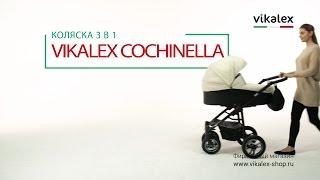 Детская коляска Vikalex Cochinella 3 в 1