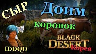 Black desert Доим коров, Сушим сыр (ОБТ Корея)