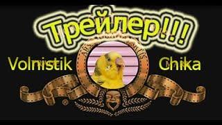 Трейлер канала Volnistik Chica!!!! #Волнистый попугай  #Птицы  Смешное видео