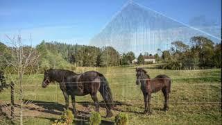 Farms in Nova Scotia