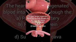 Human Interior based question #viralshort #neet #aiims #aiimsian #mbbs #neet2025