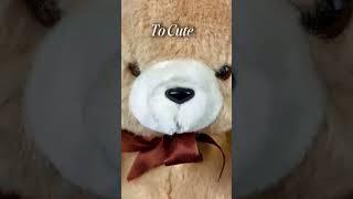 Can You Guess This Soft & Snuggly Mystery?  | Pookie.pk | Toys | Toyshop