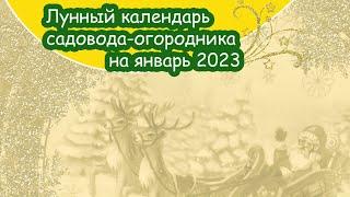 Лунный календарь для садоводов-огородников на январь 2023 года