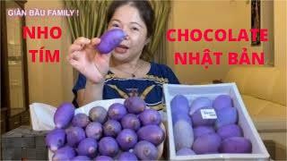 NHO TÍM CHOCOLATE NHẬT HƯƠNG VỊ CỦA TUỔI THƠ - AKEBIA CHOCOLATE VINE