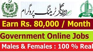 Punjab e rozgar training scheme || punjab e rozgar program