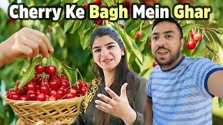 Skardu Mein Cherry Ke Bagh Mein Ghar Le Liya 