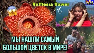 НАШЛИ САМЫЙ БОЛЬШОЙ ЦВЕТОК В МИРЕ VLOG насыщенные выходные