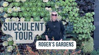 Succulent Tour ROGERS GARDENS Newport Beach, CA | MOODY BLOOMS