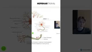 Забирай полный урок в комментариях  #биология #егэ #огэ #огэ2023 #biology #shorts