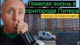 Дешевые квартиры в пригороде Санкт-Петербурга. Город Всеволожск. Покупать ли такое жилье?