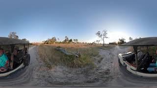 360 Video of Wildlife Film trip - Photos of Africa VR Safari