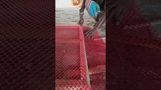 Cutting the netting while making a pigeon coop #pigeon #голубь #kalapati #حمامة #woodwork #pet