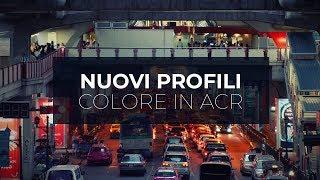 Come creare i NUOVI profili colore in Adobe Camera Raw 10.3