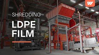 LDPE film recycling with a WEIMA shredder and NGR extruder at RKW in Hoogstraten, Belgium