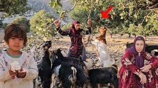 Najla goes to the cameraman's house with the cameraman and Khadija decides to go on a trip.