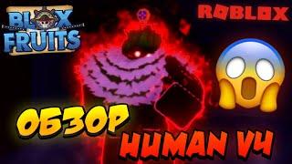 [БФЧИК] ОБЗОР ФУЛЛ HUMAN V4 в БЛОКС ФРУТС  Roblox Blox Fruits