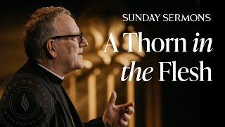 A Thorn in the Flesh - Bishop Barron's Sunday Sermon